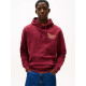 Tommy Hilfiger Ανδρικό φούτερ Logo Terry Hoody